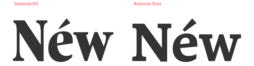Przykład czcionki Antonia Text Medium Italic